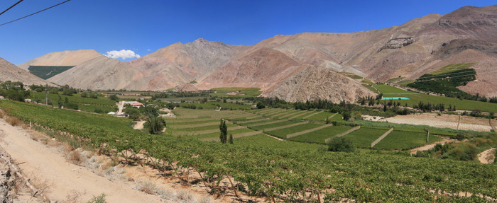 Chili vallée de l'Elqui Pisco Ekla